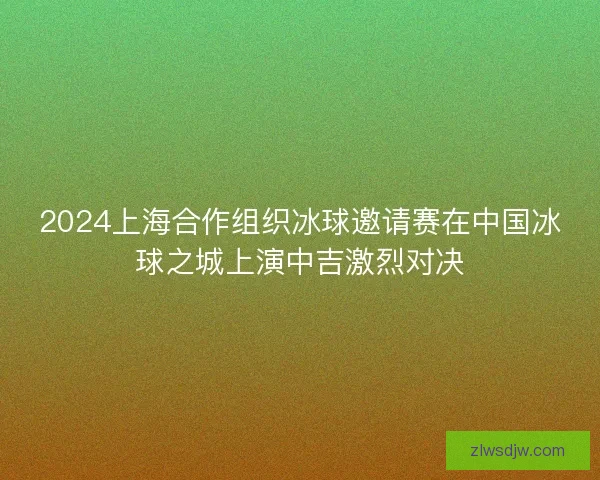 2024上海合作组织冰球邀请赛在中国冰球之城上演中吉激烈对决