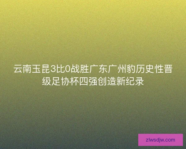 云南玉昆3比0战胜广东广州豹历史性晋级足协杯四强创造新纪录