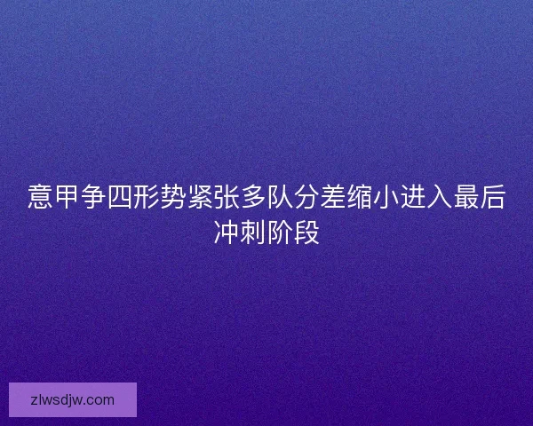 意甲争四形势紧张多队分差缩小进入最后冲刺阶段