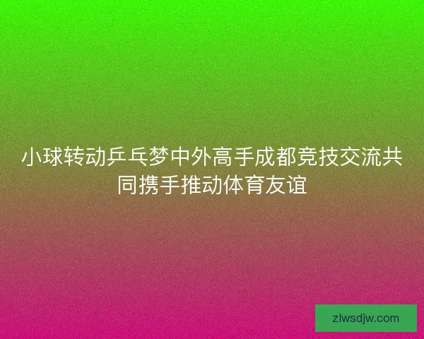 小球转动乒乓梦中外高手成都竞技交流共同携手推动体育友谊